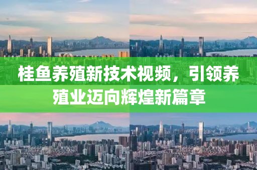 桂鱼养殖新技术视频，引领养殖业迈向辉煌新篇章