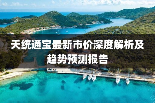 天统通宝最新市价深度解析及趋势预测报告