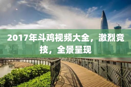 2017年斗鸡视频大全，激烈竞技，全景呈现