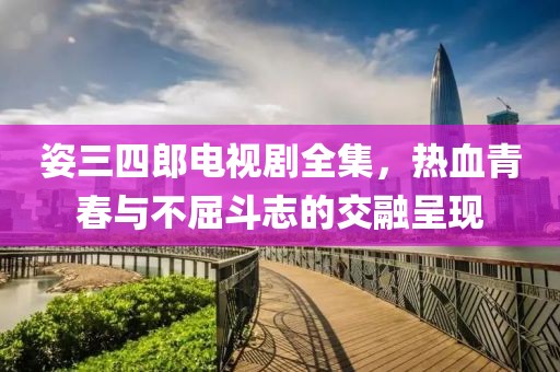 姿三四郎电视剧全集，热血青春与不屈斗志的交融呈现