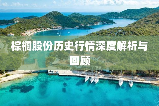 棕榈股份历史行情深度解析与回顾