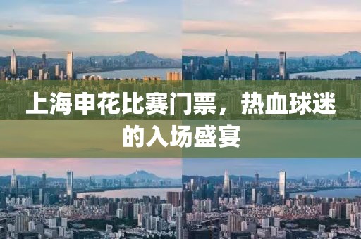 上海申花比赛门票，热血球迷的入场盛宴