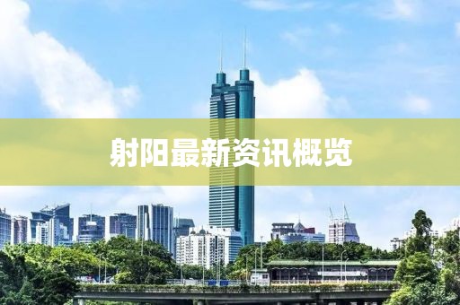 射阳最新资讯概览