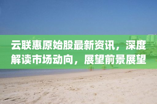 云联惠原始股最新资讯，深度解读市场动向，展望前景展望