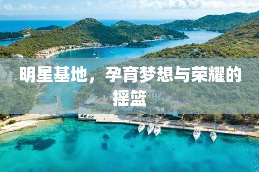 明星基地，孕育梦想与荣耀的摇篮