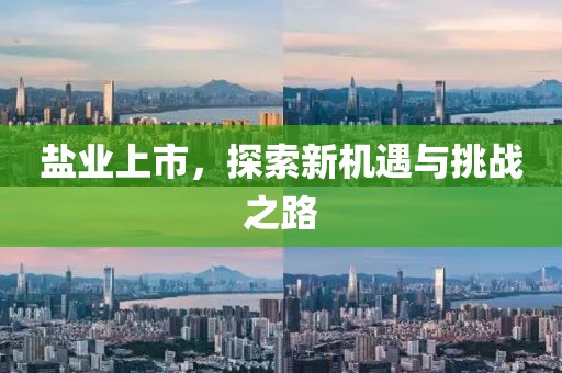 盐业上市，探索新机遇与挑战之路