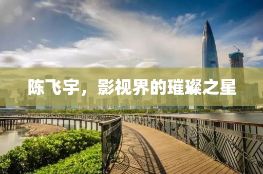 陈飞宇，影视界的璀璨之星