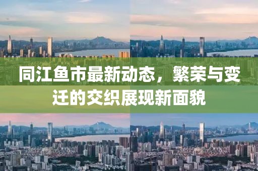 同江鱼市最新动态，繁荣与变迁的交织展现新面貌