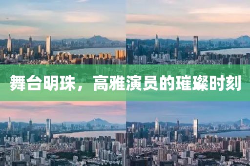 舞台明珠，高雅演员的璀璨时刻