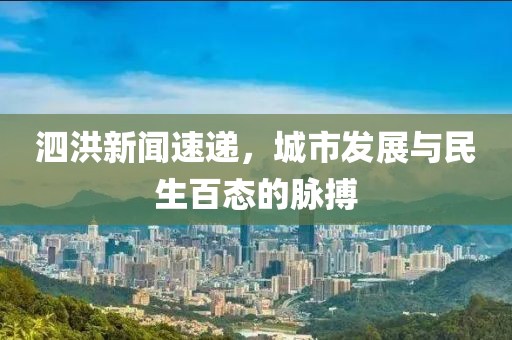 泗洪新闻速递，城市发展与民生百态的脉搏