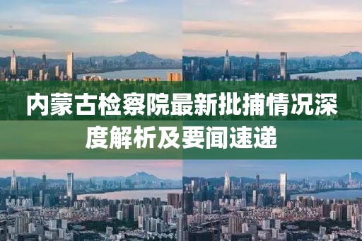 内蒙古检察院最新批捕情况深度解析及要闻速递