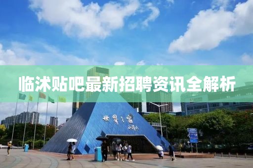 红梅千雪 第10页