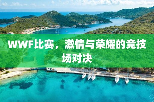 WWF比赛，激情与荣耀的竞技场对决