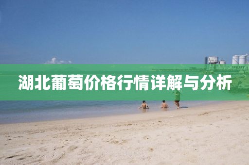 湖北葡萄价格行情详解与分析