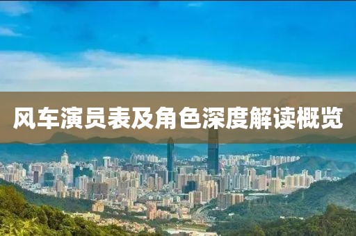 风车演员表及角色深度解读概览