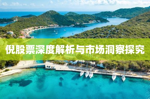 倪股票深度解析与市场洞察探究