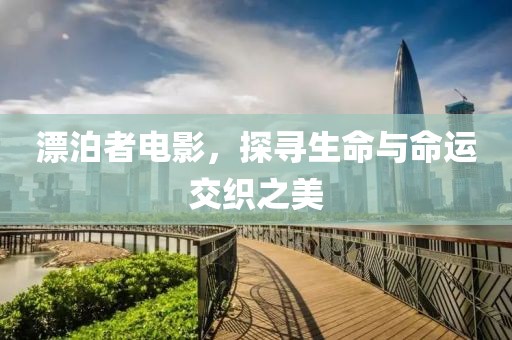 漂泊者电影，探寻生命与命运交织之美
