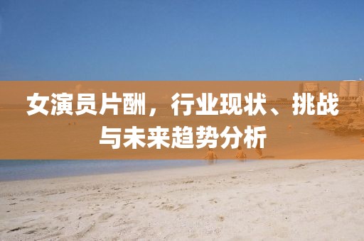 女演员片酬，行业现状、挑战与未来趋势分析