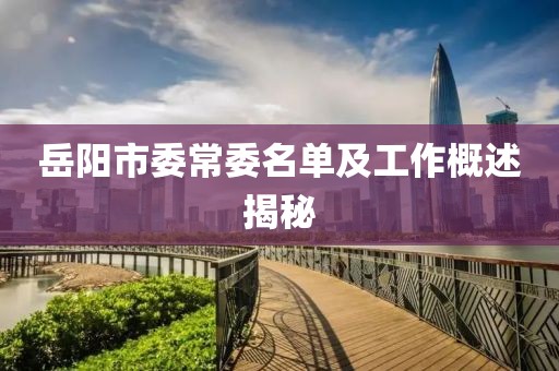 岳阳市委常委名单及工作概述揭秘