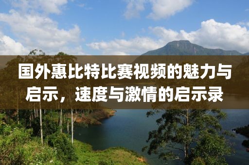 国外惠比特比赛视频的魅力与启示，速度与激情的启示录