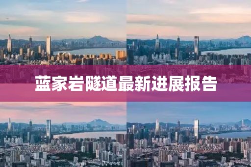 蓝家岩隧道最新进展报告