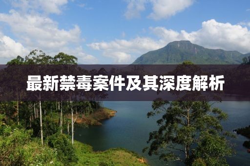 最新禁毒案件及其深度解析