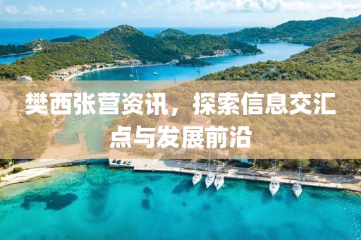 樊西张营资讯，探索信息交汇点与发展前沿