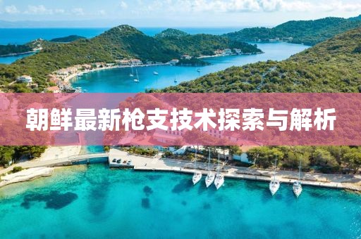 朝鲜最新枪支技术探索与解析