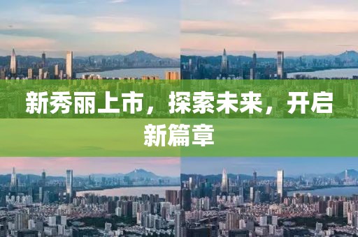 公司简介 第277页