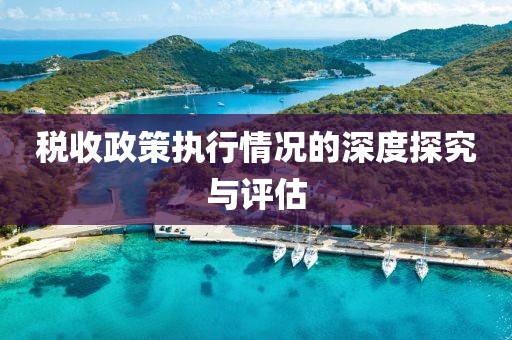 税收政策执行情况的深度探究与评估