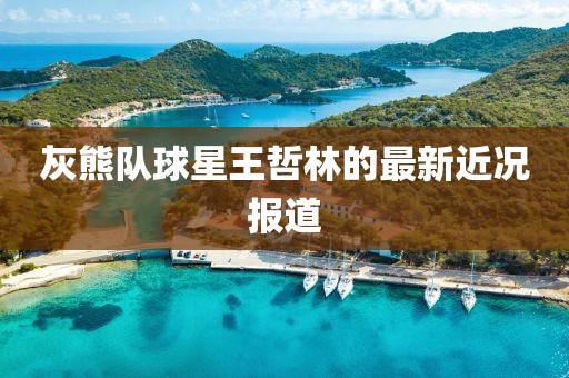 灰熊队球星王哲林的最新近况报道