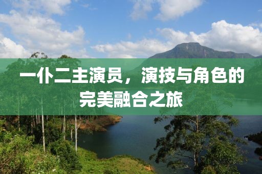 一仆二主演员，演技与角色的完美融合之旅