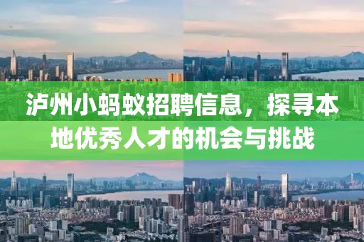 泸州小蚂蚁招聘信息，探寻本地优秀人才的机会与挑战