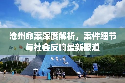 沧州命案深度解析，案件细节与社会反响最新报道