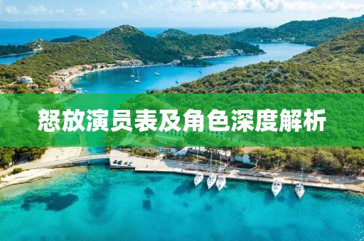 怒放演员表及角色深度解析