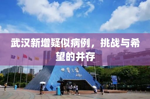 武汉新增疑似病例，挑战与希望的并存