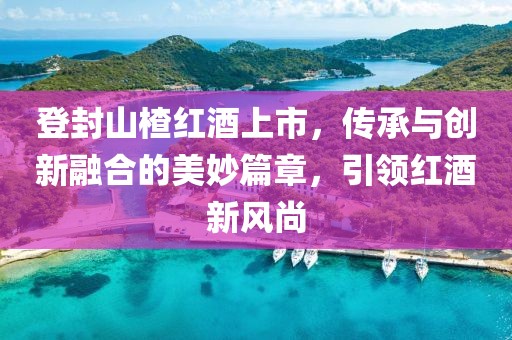 登封山楂红酒上市，传承与创新融合的美妙篇章，引领红酒新风尚