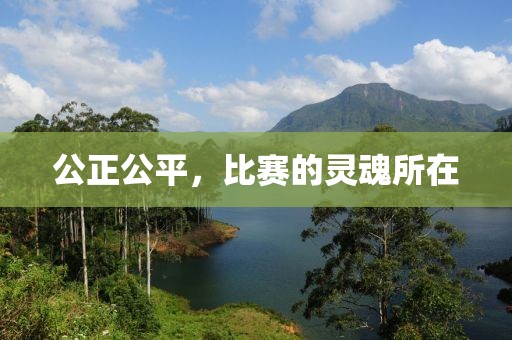 公正公平，比赛的灵魂所在
