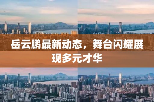 岳云鹏最新动态，舞台闪耀展现多元才华
