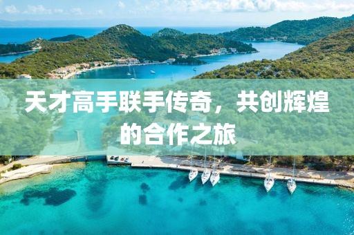 天才高手联手传奇，共创辉煌的合作之旅