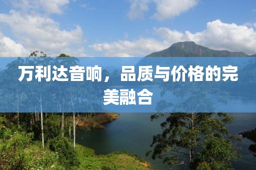 万利达音响，品质与价格的完美融合