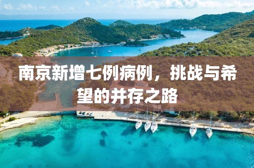 南京新增七例病例，挑战与希望的并存之路