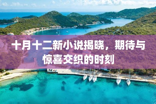 十月十二新小说揭晓，期待与惊喜交织的时刻