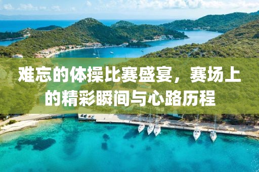 难忘的体操比赛盛宴，赛场上的精彩瞬间与心路历程