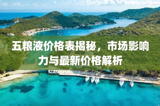五粮液价格表揭秘，市场影响力与最新价格解析