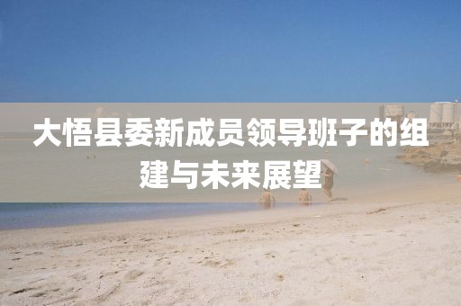 大悟县委新成员领导班子的组建与未来展望