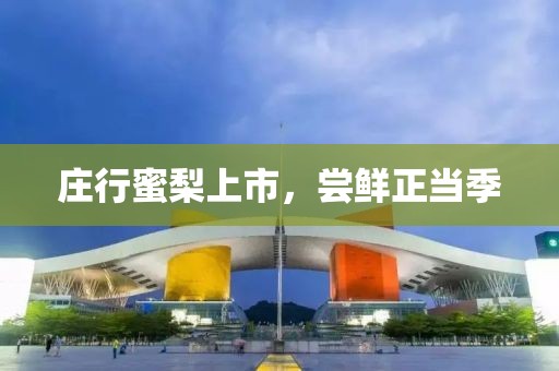 庄行蜜梨上市，尝鲜正当季