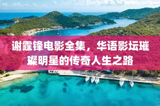 谢霆锋电影全集，华语影坛璀璨明星的传奇人生之路