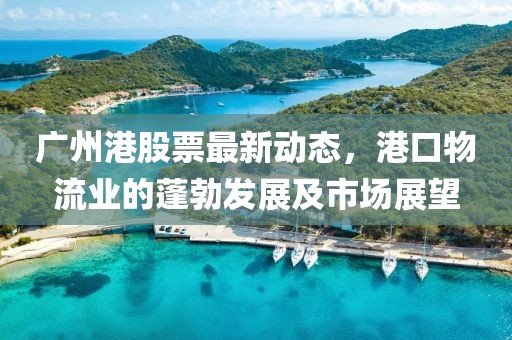 广州港股票最新动态，港口物流业的蓬勃发展及市场展望