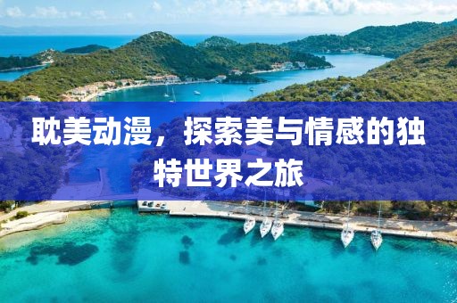 耽美动漫，探索美与情感的独特世界之旅